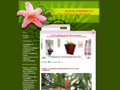 Couple mixte fleur d'hibiscus